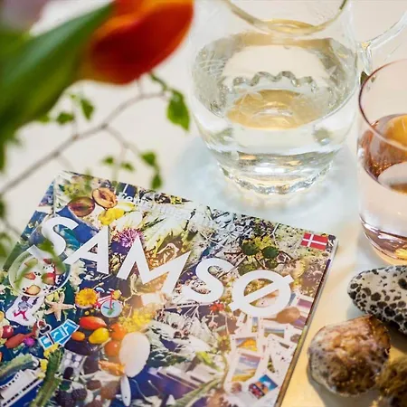 20131-samso-engen-8 *